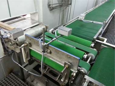 Diverter Conveyor — view 3