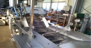 Washing Conveyor — view 4